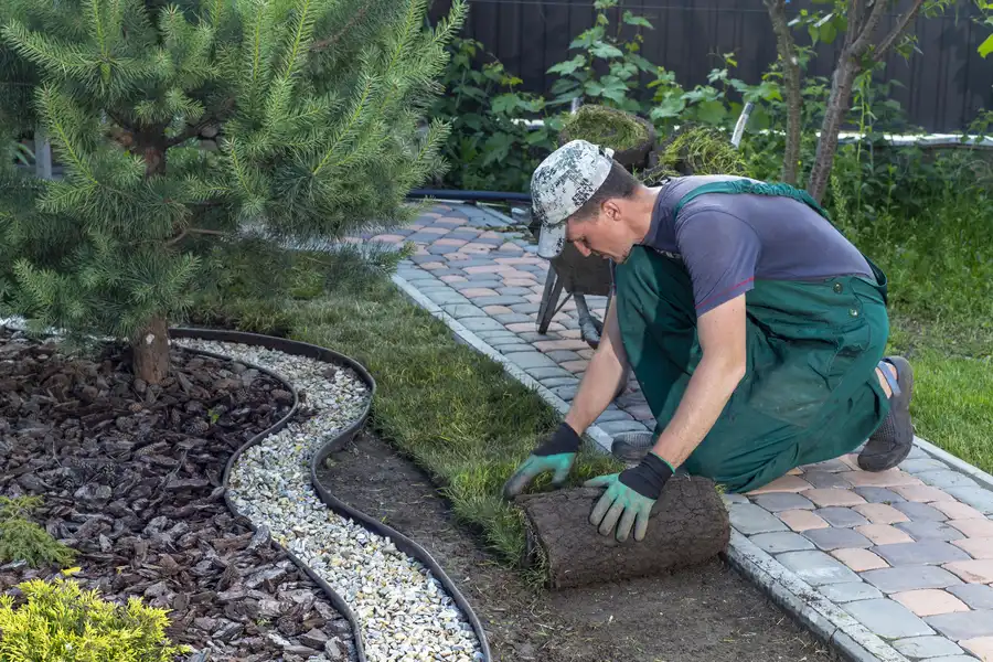 Excellent Sod Installation Lakewood, WA Excellent Sod Installation Lakewood, WA