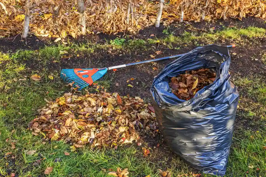 Expert Yard Cleanup Lakewood, WA Expert Yard Cleanup Lakewood, WA