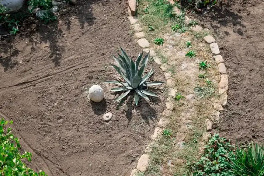 How Landscape Installation Improves Property Functionality Lakewood, WA How Landscape Installation Improves Property Functionality Lakewood, WA