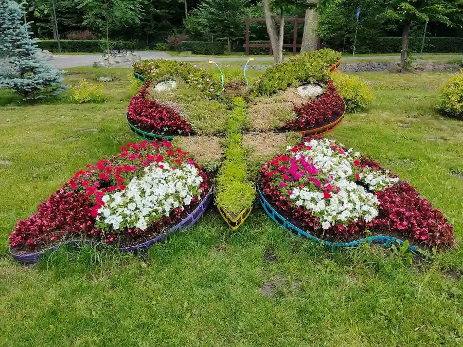 How To Improve Drainage In Your Landscape Design in Lakewood, WA How To Improve Drainage In Your Landscape Design in Lakewood, WA