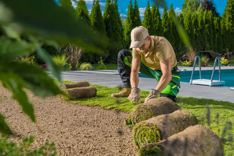 Professional Sod Installation Lakewood, WA Professional Sod Installation Lakewood, WA