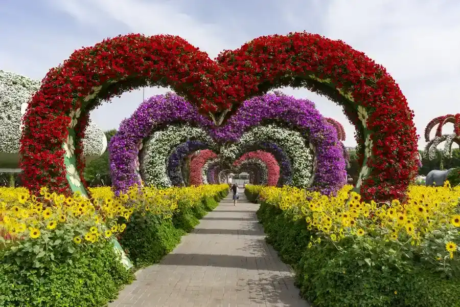 Quality Landscape Installation Lakewood, WA Quality Landscape Installation Lakewood, WA