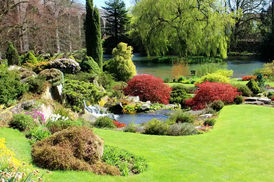 The Benefits Of Hiring A Professional Landscaper Lakewood, WA The Benefits Of Hiring A Professional Landscaper Lakewood, WA