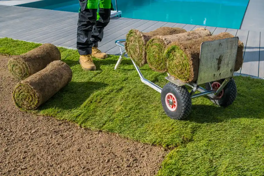 The Role Of Irrigation Systems In Successful Sod Installation Lakewood, WA The Role Of Irrigation Systems In Successful Sod Installation Lakewood, WA