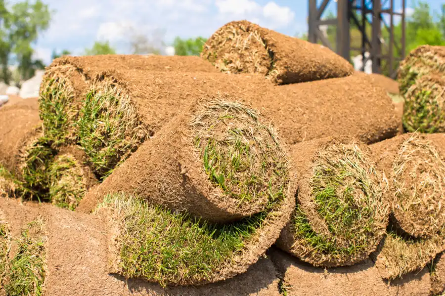 The Role Of Irrigation Systems In Successful Sod Installation in Lakewood, WA The Role Of Irrigation Systems In Successful Sod Installation in Lakewood, WA
