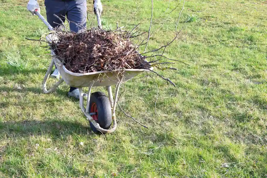 The Role Of Yard Cleanup In Preparing For Outdoor Entertaining Lakewood, WA The Role Of Yard Cleanup In Preparing For Outdoor Entertaining Lakewood, WA