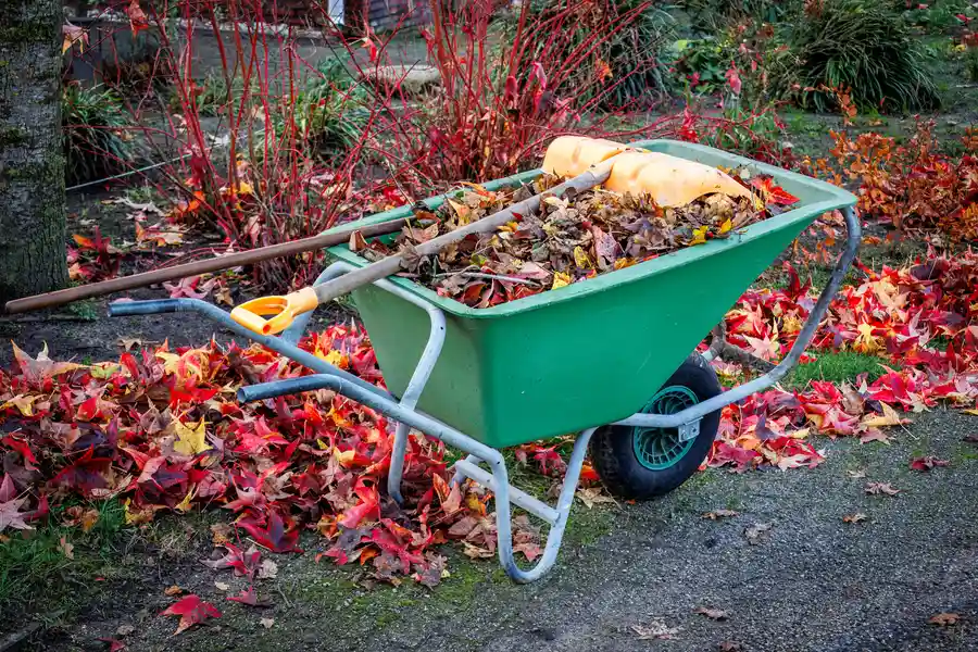 Tips For Preparing Your Yard For Seasonal Cleanup Lakewood, WA Tips For Preparing Your Yard For Seasonal Cleanup Lakewood, WA