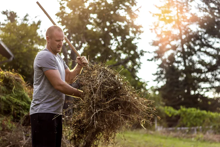 Tips For Preparing Your Yard For Seasonal Cleanup in Lakewood, WA Tips For Preparing Your Yard For Seasonal Cleanup in Lakewood, WA